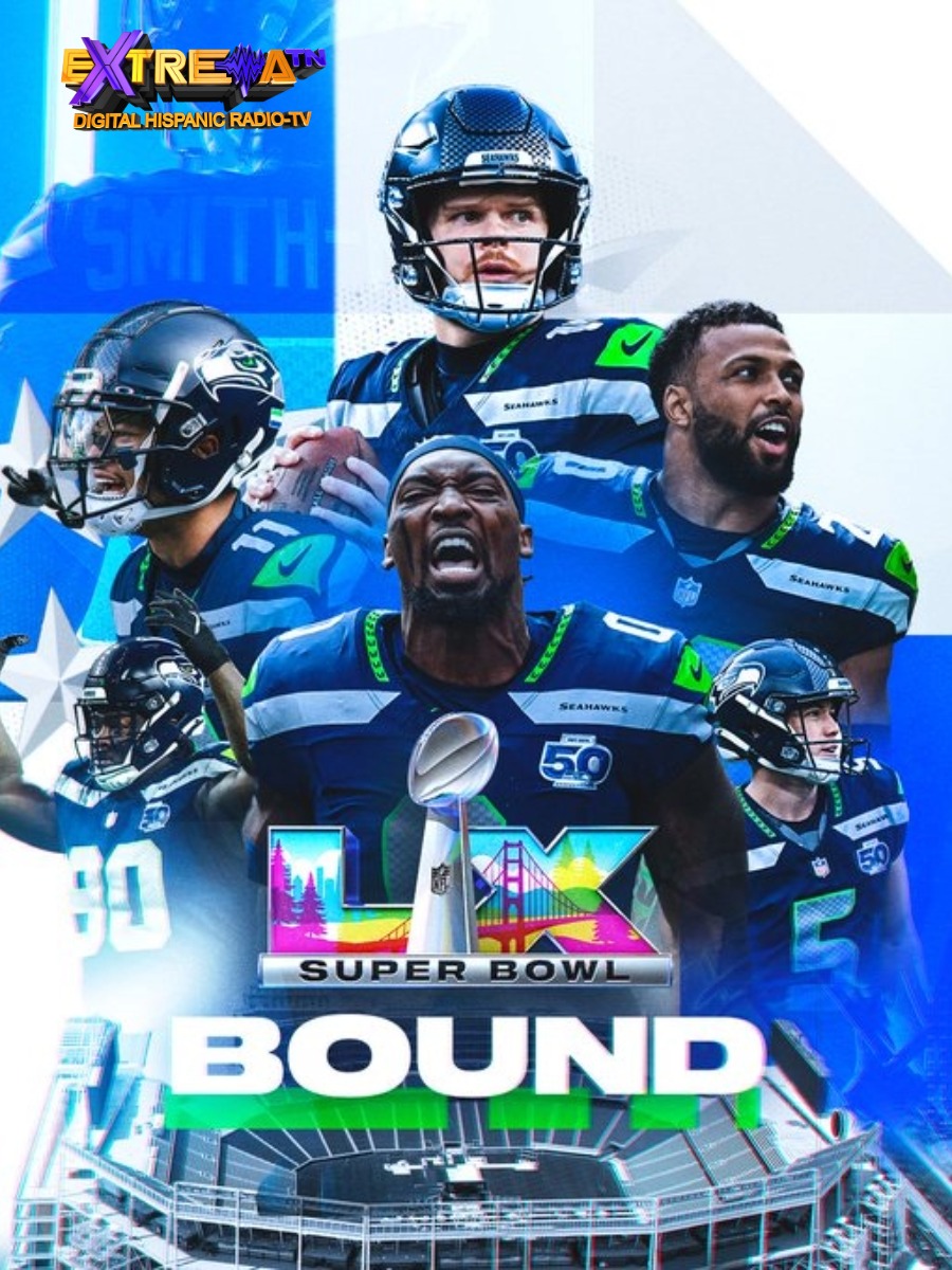 Gráfico detallado de las figuras clave y el esquema táctico de los Seattle Seahawks.